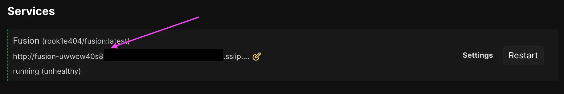 Screenshot of Coolify Services showing a redacted link to a .sslip.io subdomain